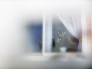 �C���[�W�ʐ^